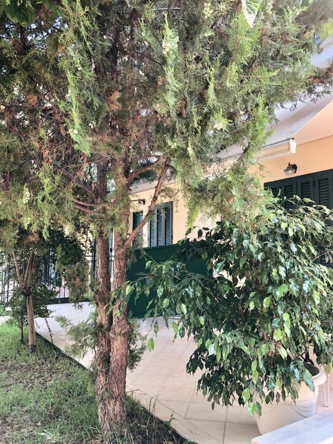 Appartement The Filoxenia Apartments,